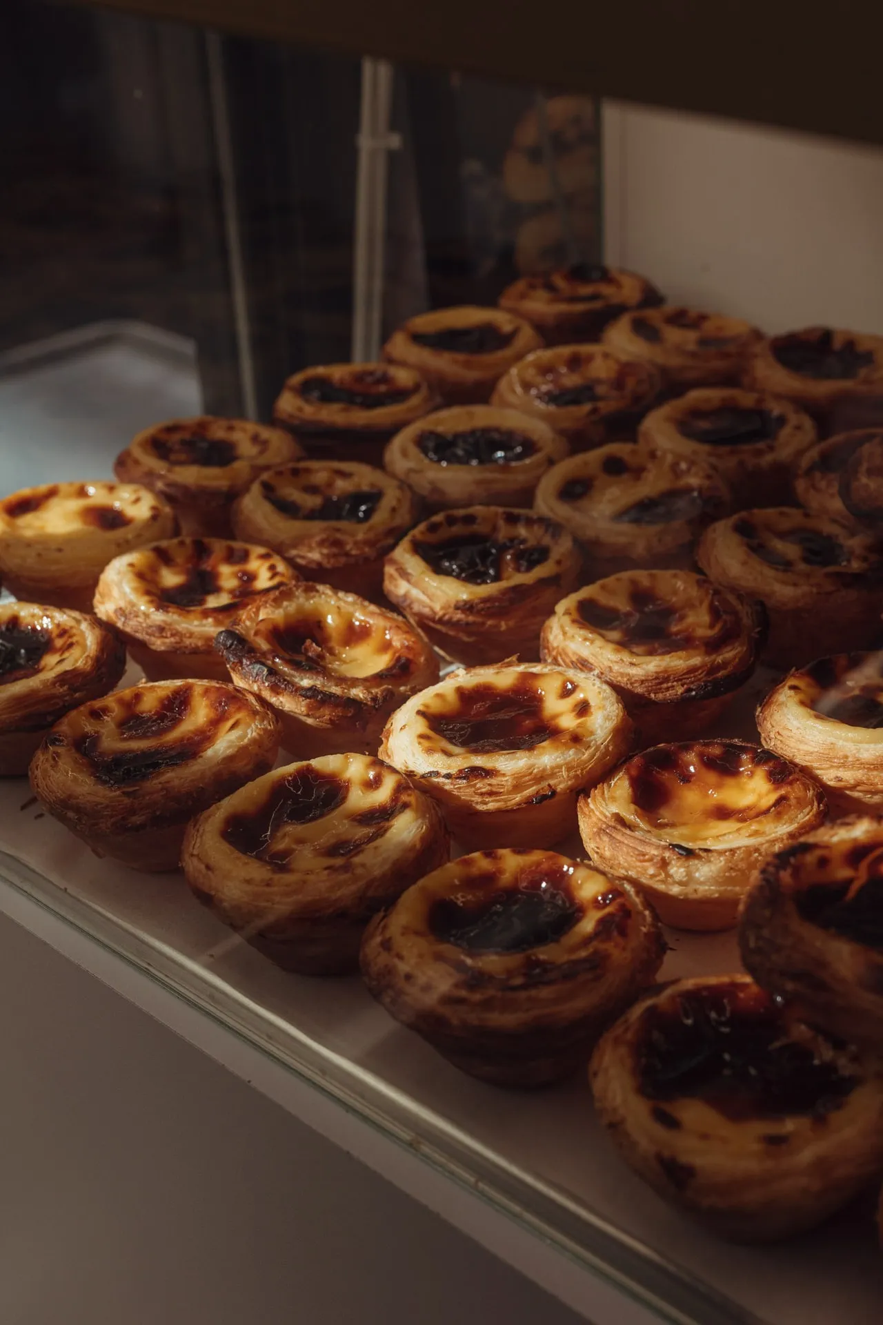 Rzędy Pastéis de Nata z przypieczonym kremem w przeszklonej witrynie, w ciepłym bocznym świetle