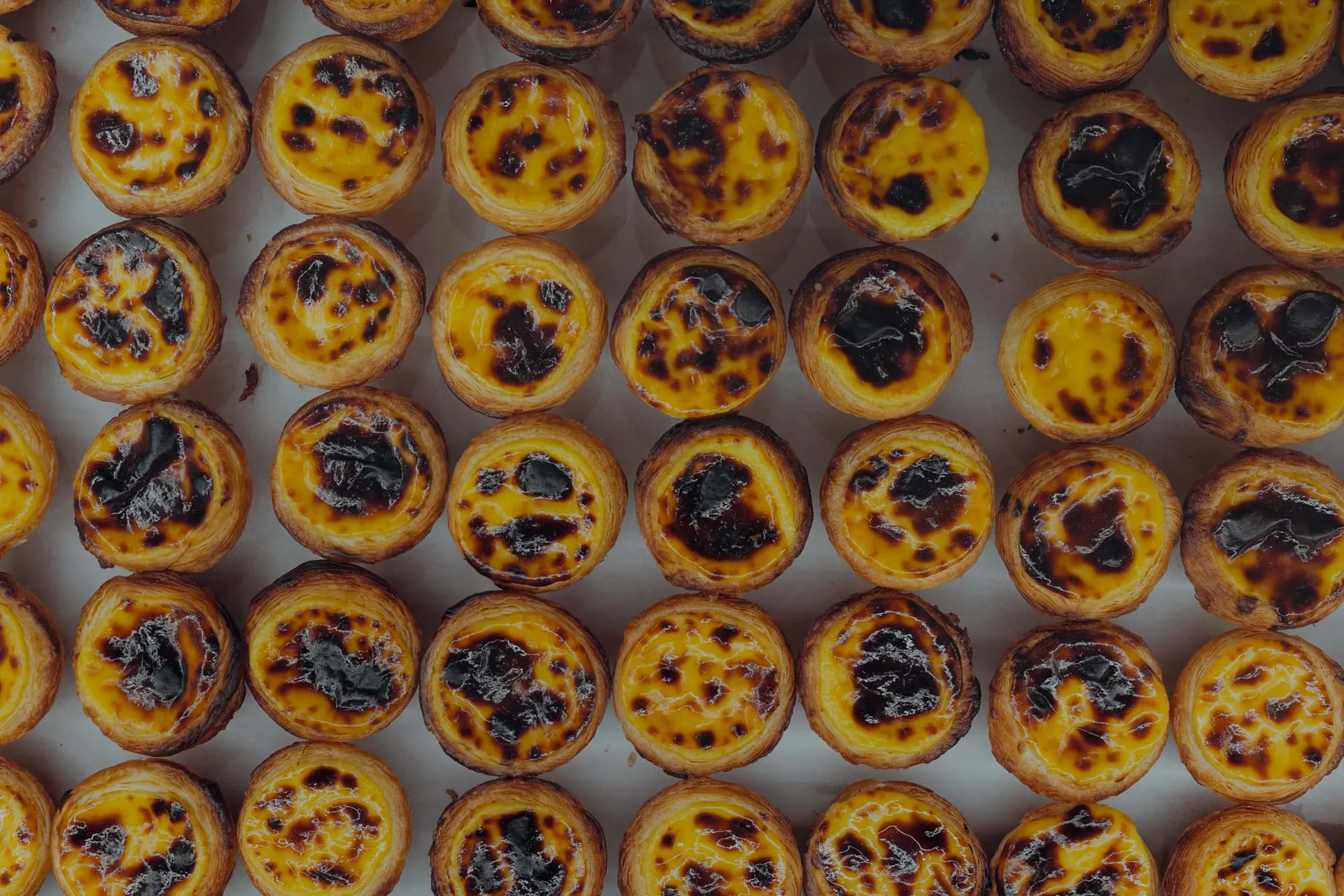 Równe rzędy Pastéis de Nata z przypieczonymi plamkami na białym papierze, widziane z góry